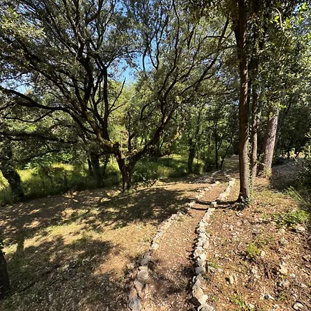 Domaine D'olga *